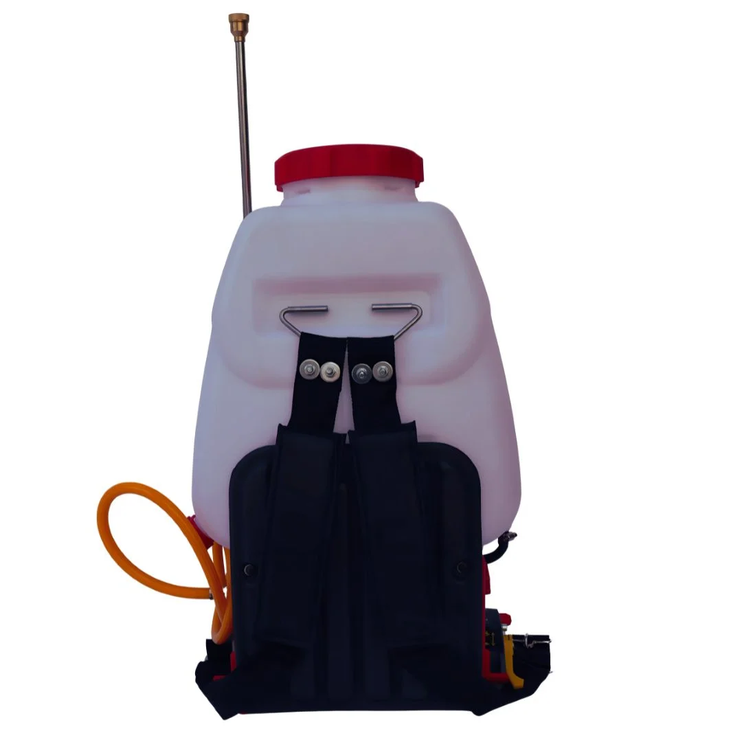 Latson Power Sprayer, Strokes-2 (LT-708) 4