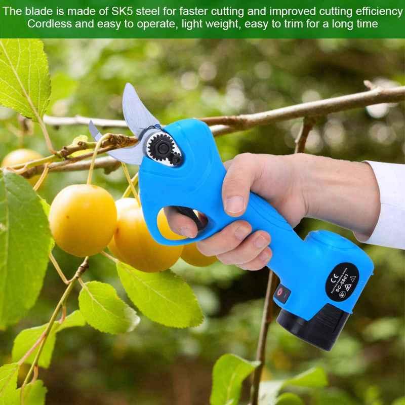 GreenLeaf Professional Cordless Electric Pruning Tool Kit (Tool Kit 500 W) 3
