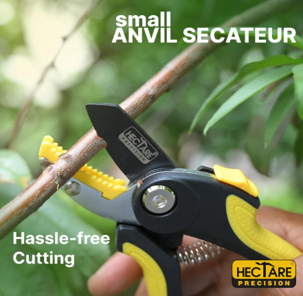 Hectare Precision Pruning Secateurs (Small anvil for dry and hard branch)(Hectare Precision Pruning Secateurs (Small anvil f) 4