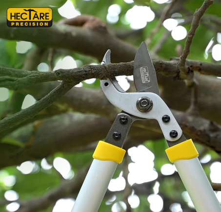 HECTARE Precision Loppers - Heavy Duty Tree Branch Cutter, 35mm Cut, Anvil Design. Durable Tree Trimmer for Gardening, Pruning Small Branches & Stems.(HECTARE Precision Loppers - Heavy Duty Tree Branch) 3