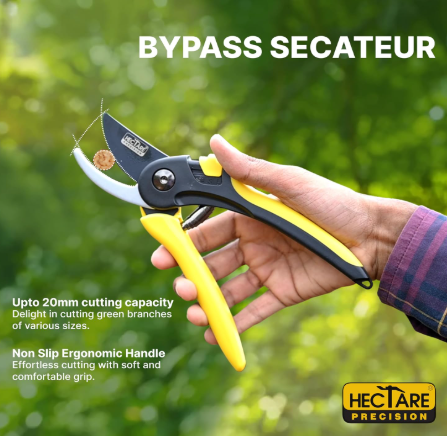 Hectare Precision Pruning Secateurs (Large bypass for green and soft branches)(Hectare Precision Pruning Secateurs (Large bypass ) 2