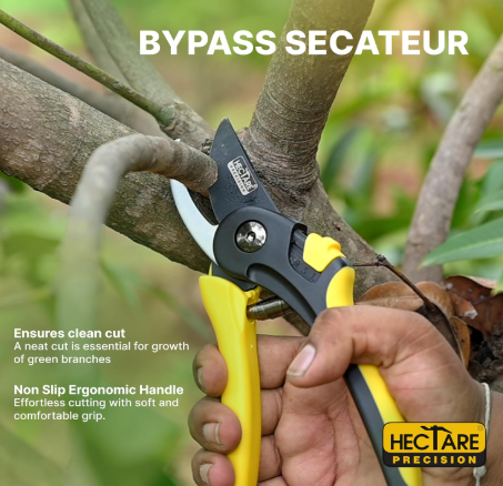 Hectare Precision Pruning Secateurs (Large bypass for green and soft branches)(Hectare Precision Pruning Secateurs (Large bypass ) 5