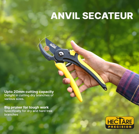 HECTARE Anvil Pruning Secateurs - Heavy Duty Garden Clippers for Dry & Hard Wood, Comfort Grip, Stainless Steel Blades, Ideal for Thicker Branches(HECTARE Anvil Pruning Secateurs - Heavy Duty Garde) 2