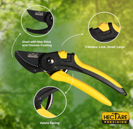 HECTARE Anvil Pruning Secateurs - Heavy Duty Garden Clippers for Dry & Hard Wood, Comfort Grip, Stainless Steel Blades, Ideal for Thicker Branches(HECTARE Anvil Pruning Secateurs - Heavy Duty Garde) 5