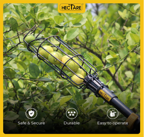 Hectare Multi-Purpose Small Fruit Picker & Plucker Basket | Ideal for Lemon, Chiku, Sapota and Amla Harvesting | Lightweight Manual Gardening Tool | D(Hectare Multi-Purpose Small Fruit Picker & Plucker) 3