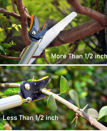 HECTARE Long Reach Pruner & Fruit Harvester - 10 ft Telescopic Aluminum Pole Saw with Cut and Hold Feature for Thin Branches, Lightweight Design(HECTARE Long Reach Pruner & Fruit Harvester - 10 f) 2