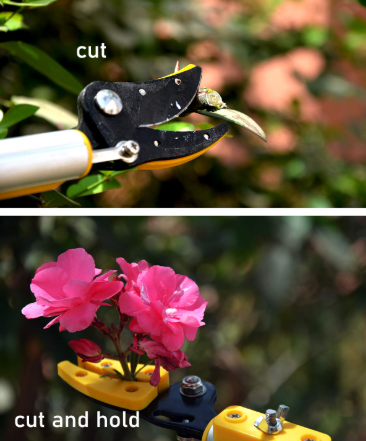 HECTARE Long Reach Pruner & Fruit Harvester - 10 ft Telescopic Aluminum Pole Saw with Cut and Hold Feature for Thin Branches, Lightweight Design(HECTARE Long Reach Pruner & Fruit Harvester - 10 f) 3