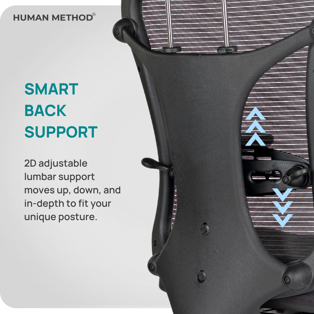 HUMAN METHOD TASK Series Premium Revolving Office Chair Ergonomic High Back Mesh with Multi Lock & Lumber Support Black, HMKR01-PR01 2