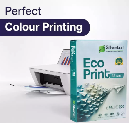 Sillverton 65 GSM A4 Copier Paper (Pack of 10 Ream)(Sillverton 65 GSM A4 Copier Paper (Pack of 10 Ream) 4