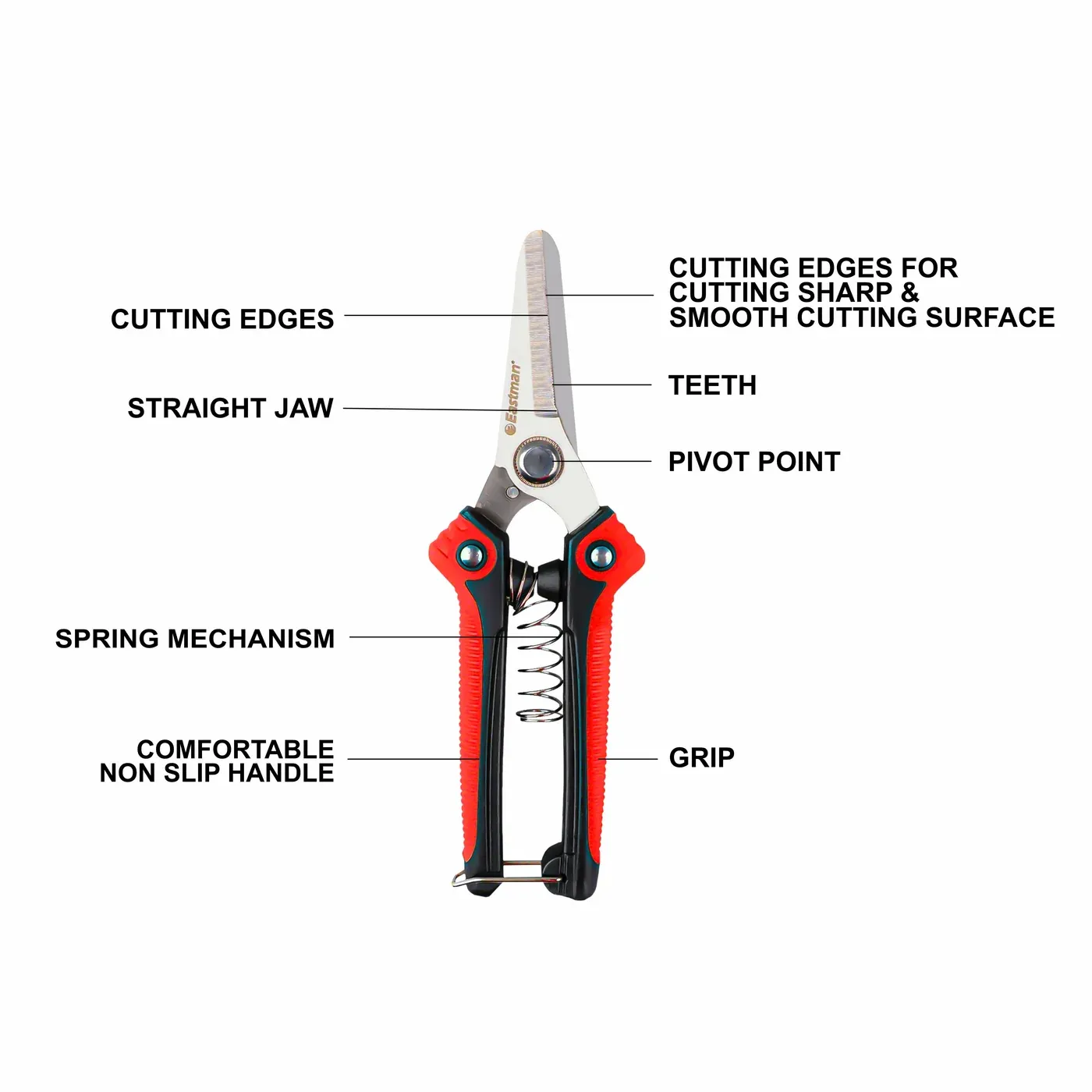 Eastman Pruning Shears with Straight Jaw, Selected Stainless Steel, Selected Alloy Steel, E-3025(pack of 12) 5