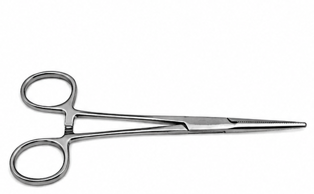 Forgesy GSS15 6 inch Stainless Steel Straight Artery Forceps 2