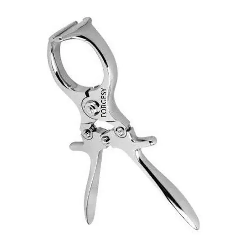 Forgesy GSS71 9 inch Stainless Steel Veterinary Ca 2