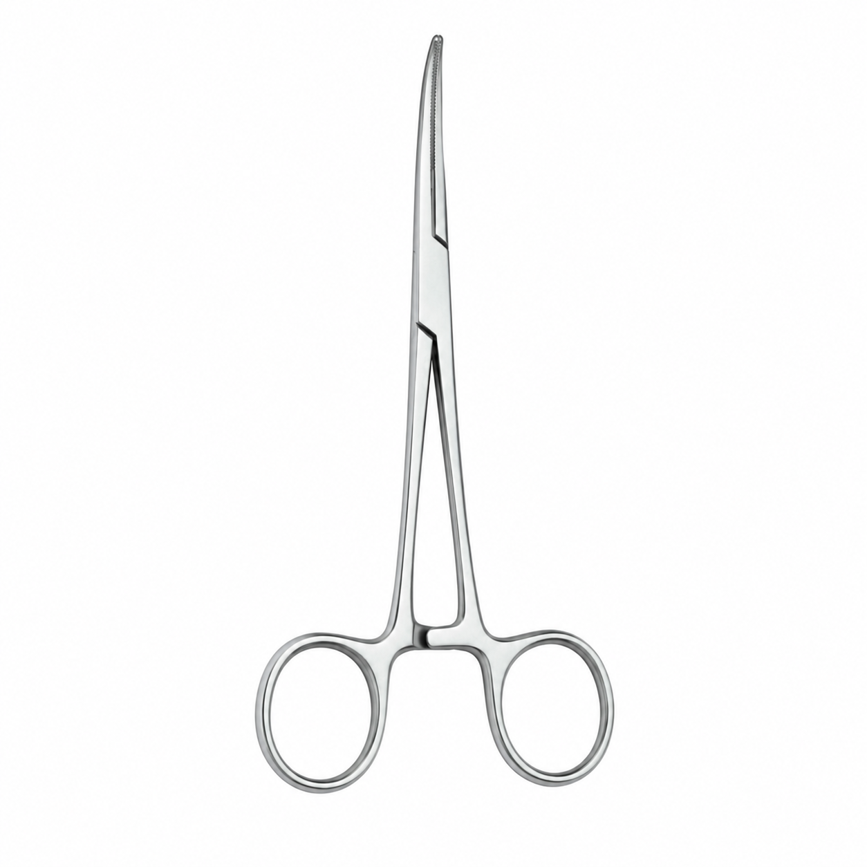 Forgesy GSS13 10 inch Stainless Steel Curved Artery Forceps 2