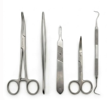 Forgesy 5 Pcs Stainless Steel Surgical Utility Clamp Instrument Set, SUNX103 2