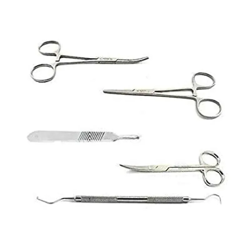 Forgesy 5 Pcs Stainless Steel Surgical Utility Clamp Instrument Set, SUNX103 4