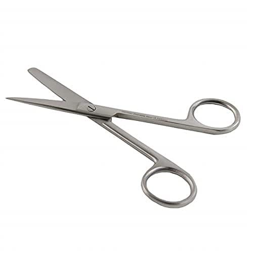 Forgesy GSS24 6 inch Stainless Steel Blunt Sharp S 3