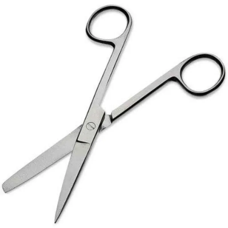 Forgesy GSS24 6 inch Stainless Steel Blunt Sharp S 2