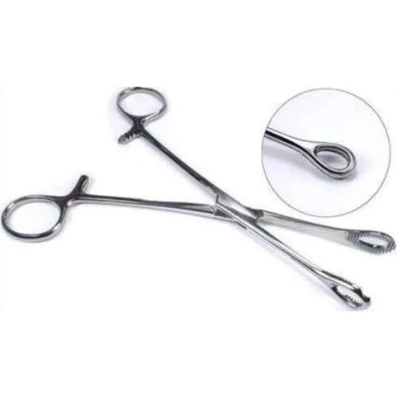 Forgesy GSS54 8 inch Sponge Holding Forceps 2