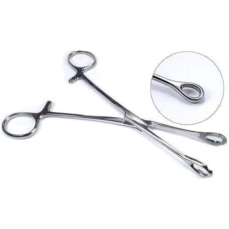 Forgesy GSS54 8 inch Sponge Holding Forceps 3