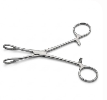 Forgesy 2 Pcs 8 inch Stainless Steel Needle Holder & Sponge Forcep Set, X58 2