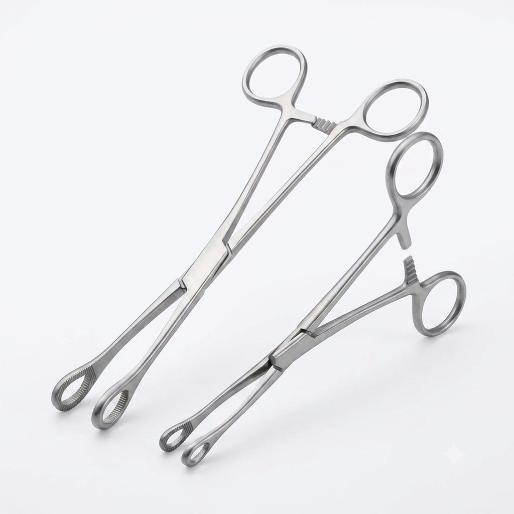 Forgesy 2 Pcs Stainless Steel Straight & Curved Sponge Holding Clamp Set, SUNX104 2