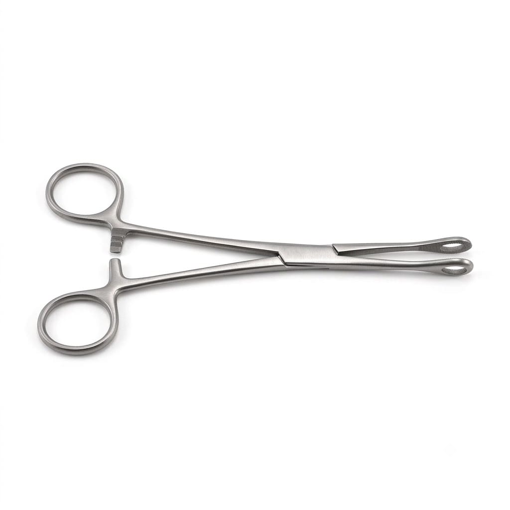 Forgesy 2 Pcs Stainless Steel Straight & Curved Sponge Holding Clamp Set, SUNX104 4