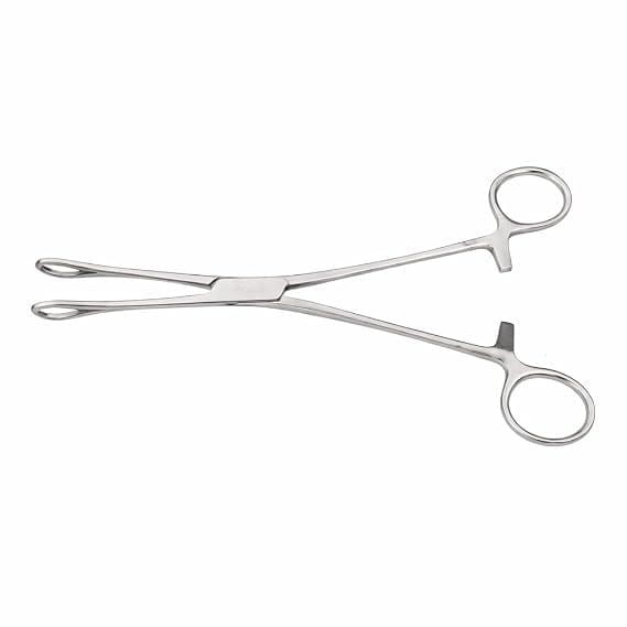 Forgesy Stainless Steel Green Armytage Clamp Forcep, SUNX115 2