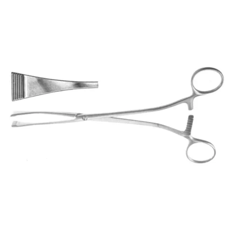 Forgesy Stainless Steel Green Armytage Clamp Forcep, SUNX115 3