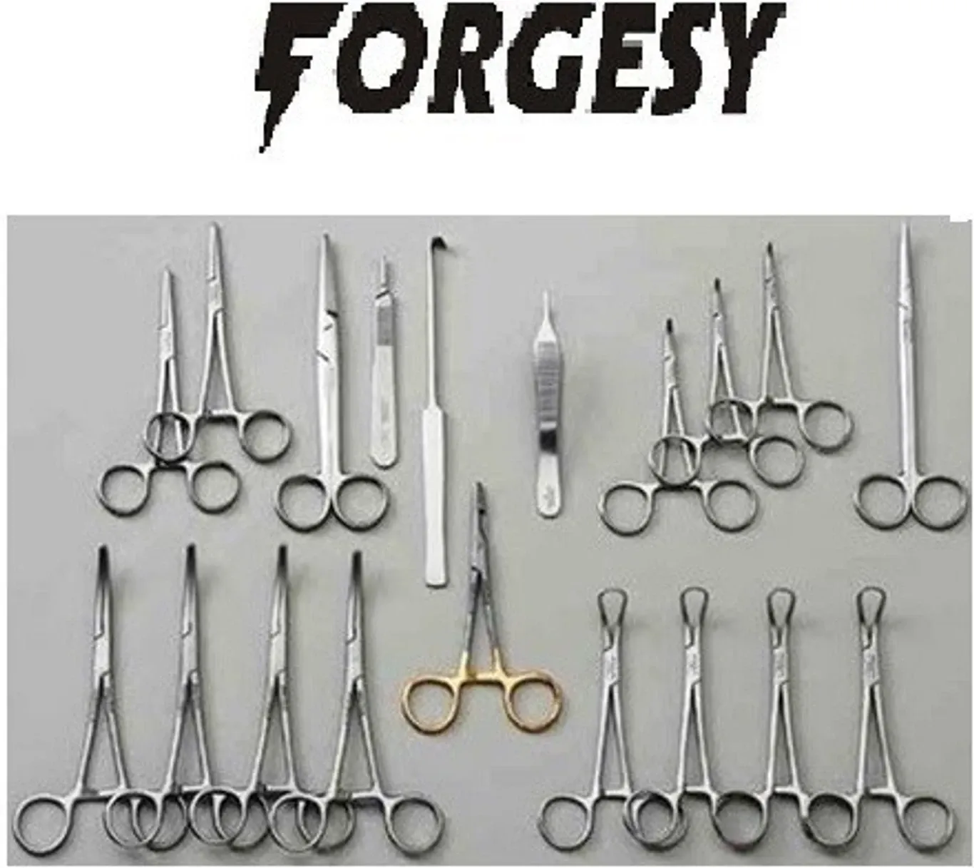 Forgesy 20 Pcs Stainless Steel Surgery Scissors Forceps Set, FORGESY267 2
