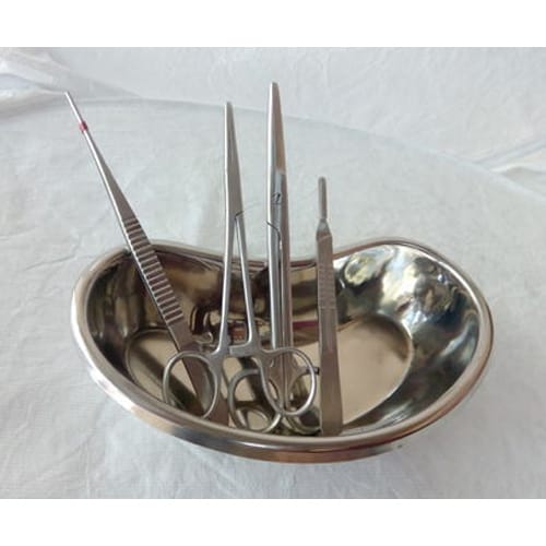 Forgesy 4 Pcs Stainless Steel Surgical Set with 6 inch Kidney Tray, GSS086 4