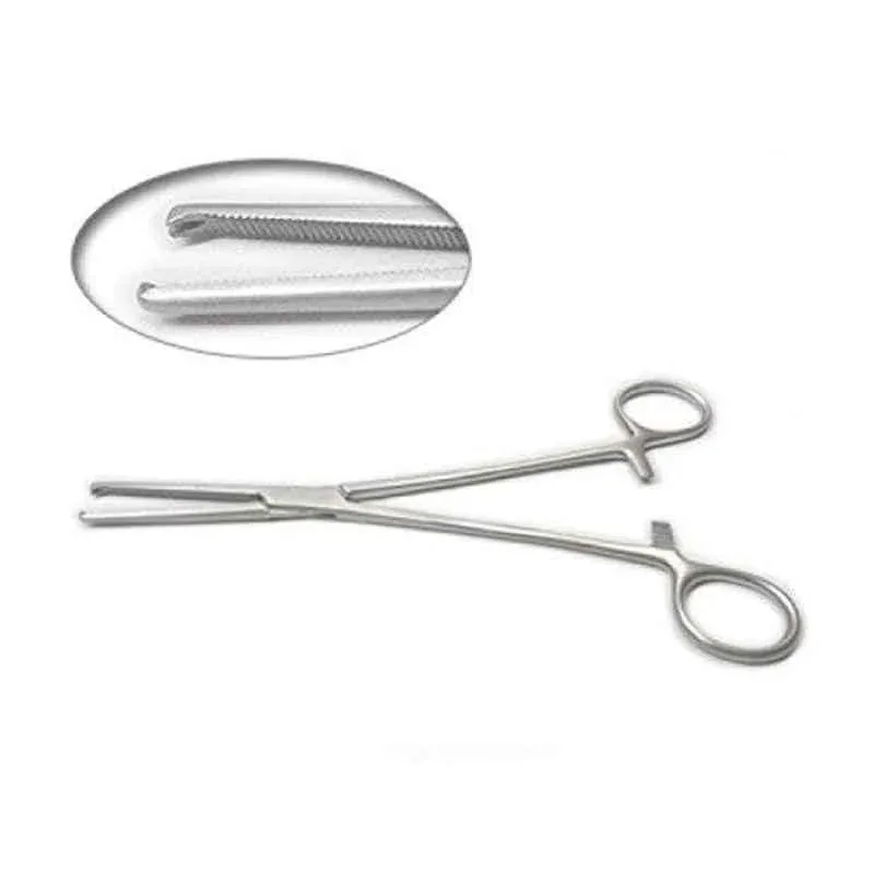 Forgesy 8 inch Stainless Steel Straight Hemostat Forceps, FORGESY205 (Pack of 5) 2