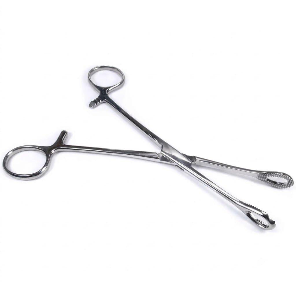 Forgesy 8 inch Stainless Steel Sponge Holding Clamp, X80 2