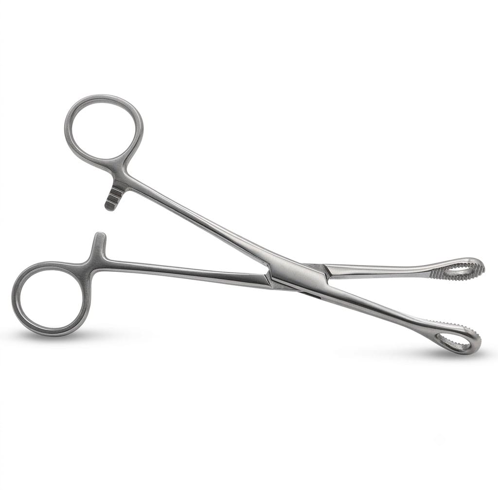 Forgesy 8 inch Stainless Steel Sponge Holding Clamp, X80 3