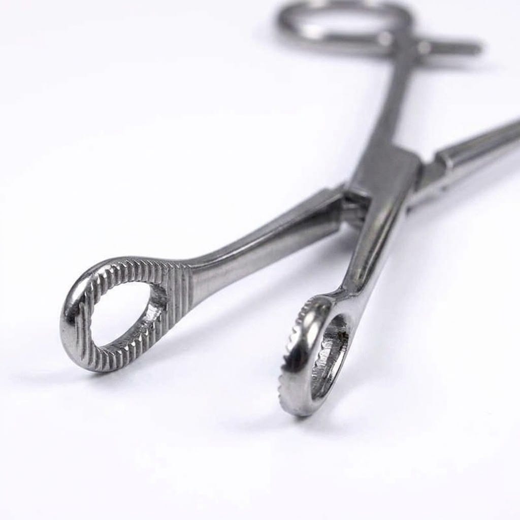 Forgesy 8 inch Stainless Steel Sponge Holding Clamp, X80 4