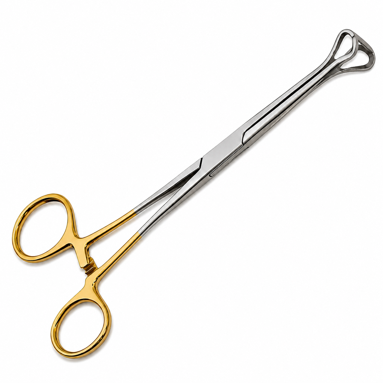 Forgesy GSS76 6 inch Tungsten Carbide Straight Babcock Tissue Forceps 4
