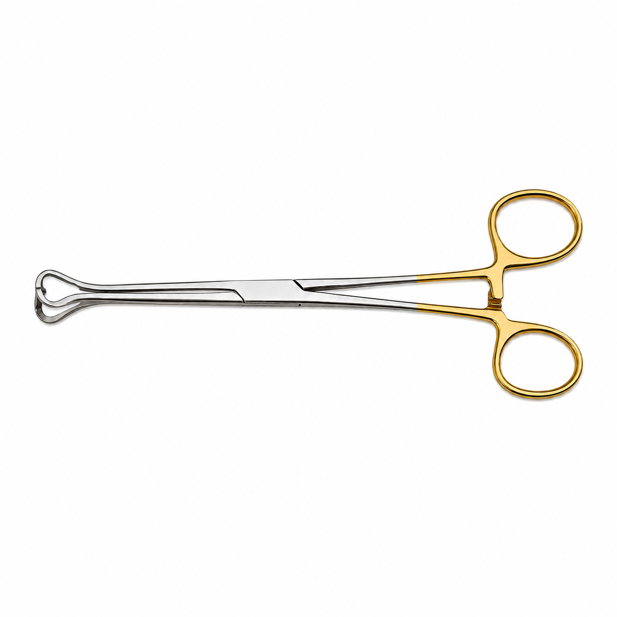 Forgesy GSS76 6 inch Tungsten Carbide Straight Babcock Tissue Forceps 2